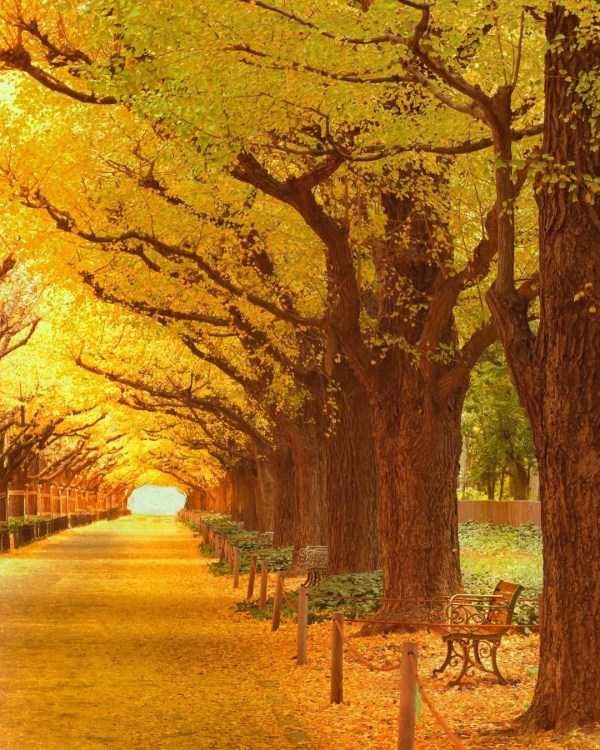 40 Breathtaking Landscapes (40 photos)