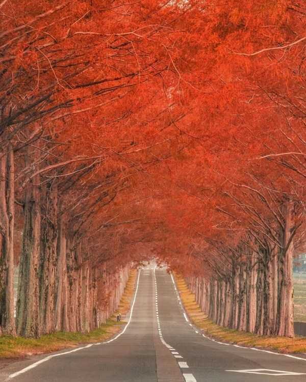 40 Breathtaking Landscapes (40 photos)