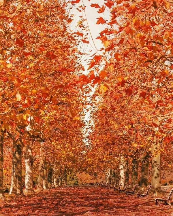 40 Breathtaking Landscapes (40 photos)