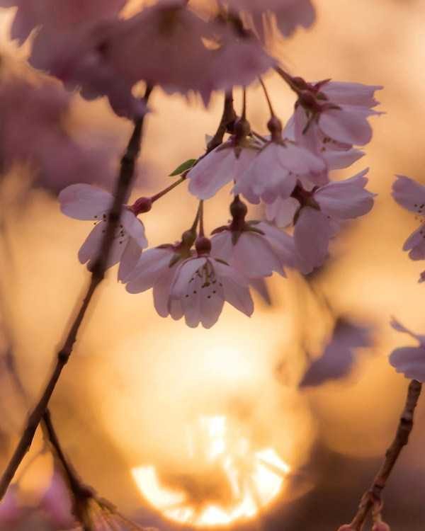 40 Breathtaking Landscapes (40 photos)