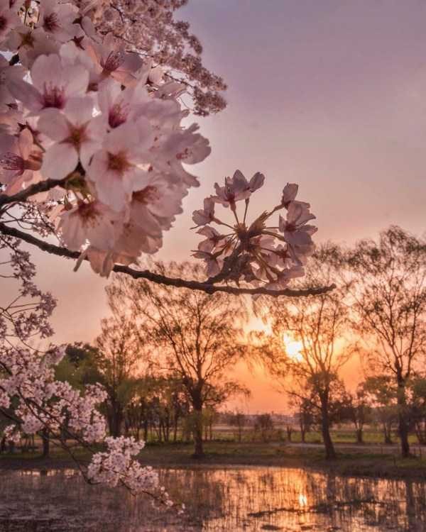 40 Breathtaking Landscapes (40 photos)