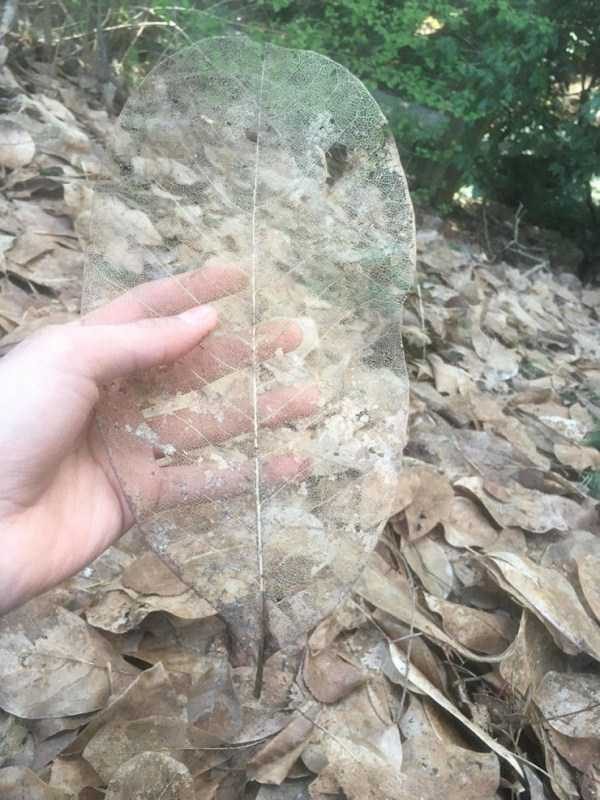 55 Nothing But Awesome Pics (55 photos)