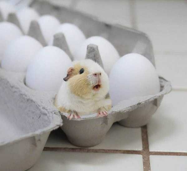 55 Nothing But Awesome Pics (55 photos)