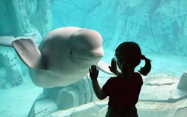 55 Nothing But Awesome Pics (55 photos)