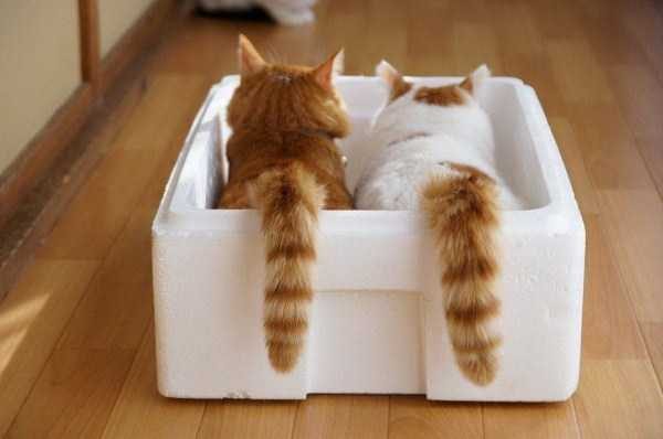 55 Nothing But Awesome Pics (55 photos)