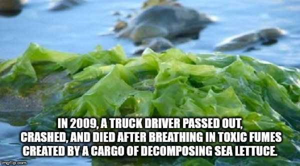 It’s Time For Some Cool And Interesting Facts – Part 93 (60 photos)