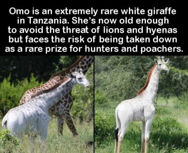 It’s Time For Some Cool And Interesting Facts – Part 93 (60 photos)