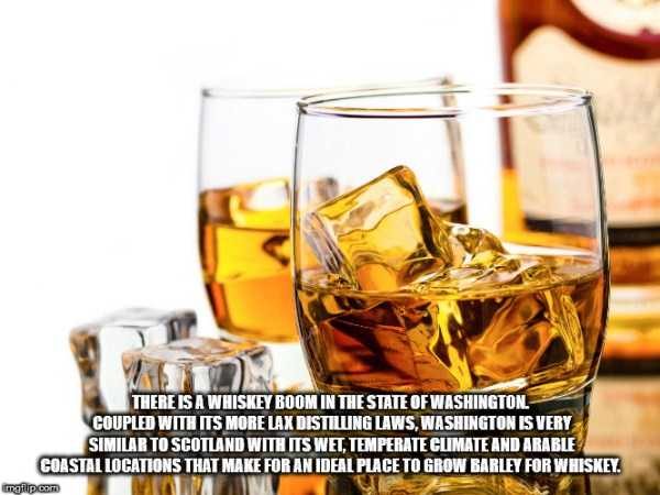 It’s Time For Some Cool And Interesting Facts – Part 91 (80 photos)