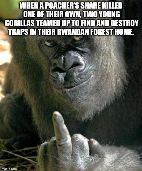 It’s Time For Some Cool And Interesting Facts – Part 91 (80 photos)