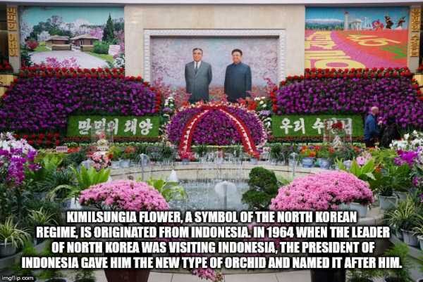 It’s Time For Some Cool And Interesting Facts – Part 91 (80 photos)