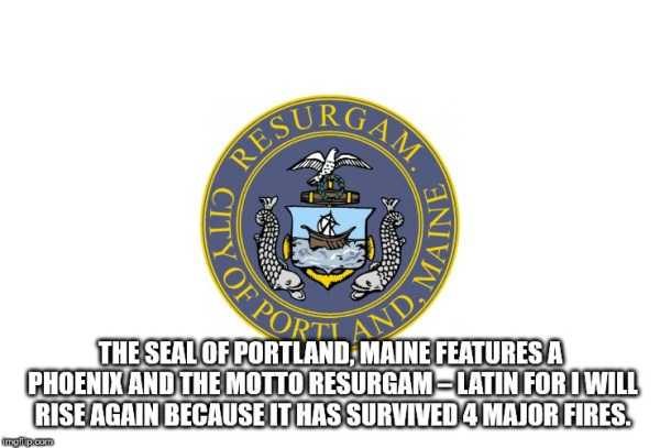 It’s Time For Some Cool And Interesting Facts – Part 91 (80 photos)