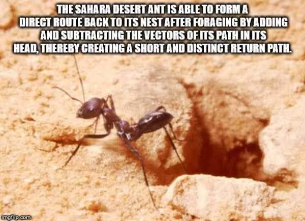 It’s Time For Some Cool And Interesting Facts – Part 91 (80 photos)