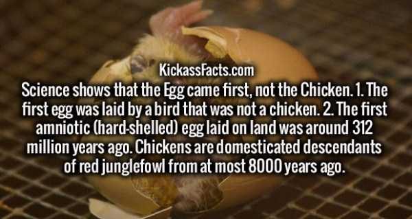 It’s Time For Some Cool And Interesting Facts – Part 91 (80 photos)