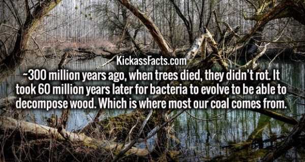 It’s Time For Some Cool And Interesting Facts – Part 91 (80 photos)