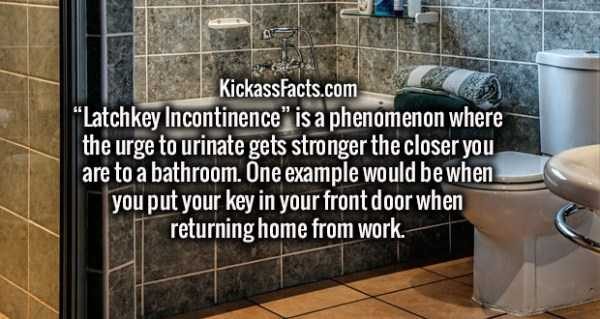 It’s Time For Some Cool And Interesting Facts – Part 91 (80 photos)