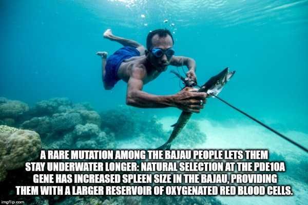 It’s Time For Some Cool And Interesting Facts – Part 91 (80 photos)