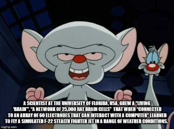 It’s Time For Some Cool And Interesting Facts – Part 91 (80 photos)