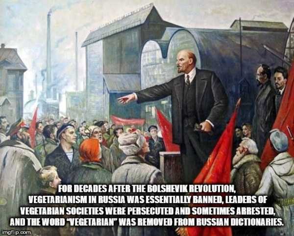 It’s Time For Some Cool And Interesting Facts – Part 91 (80 photos)