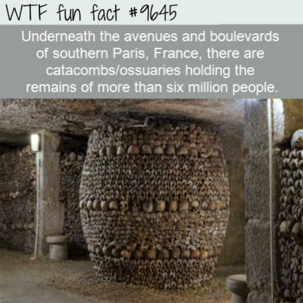 It’s Time For Some Cool And Interesting Facts – Part 91 (80 photos)