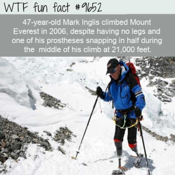 It’s Time For Some Cool And Interesting Facts – Part 91 (80 photos)
