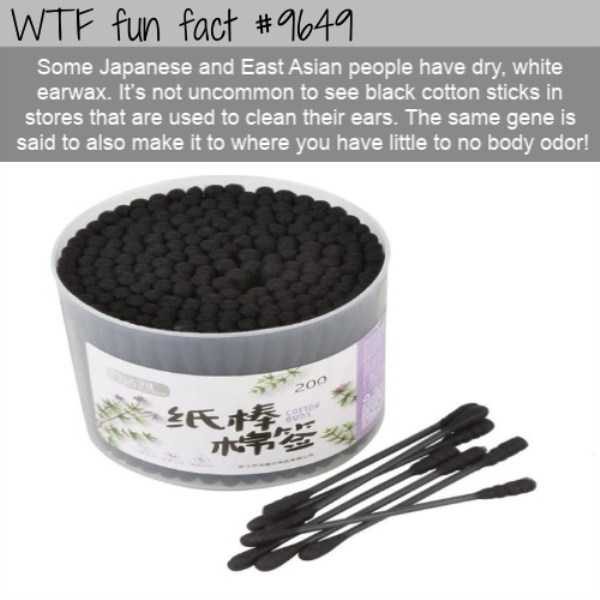 It’s Time For Some Cool And Interesting Facts – Part 91 (80 photos)