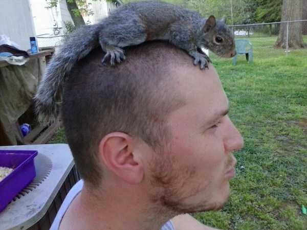 Get Ready For Funny Animals – Part 36 (56 photos)