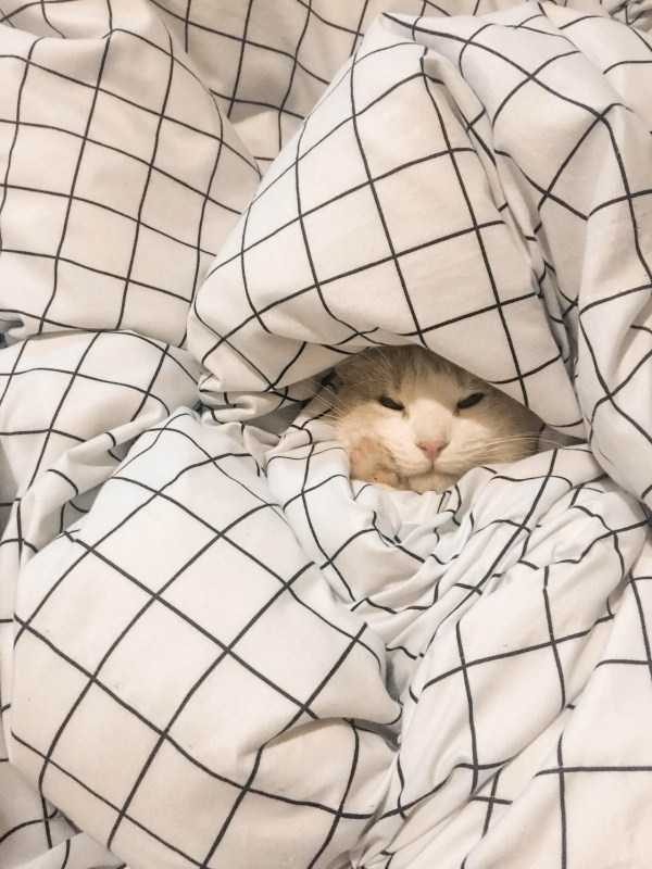 funny animals 11 9 600x800 Get Ready For Funny Animals – Part 37 (45 photos)