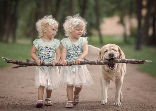 Get Ready For Funny Animals – Part 36 (56 photos)