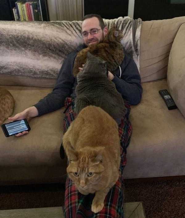 Get Ready For Funny Animals – Part 41 (49 photos)