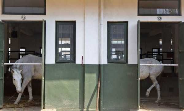 Get Ready For Funny Animals – Part 36 (56 photos)