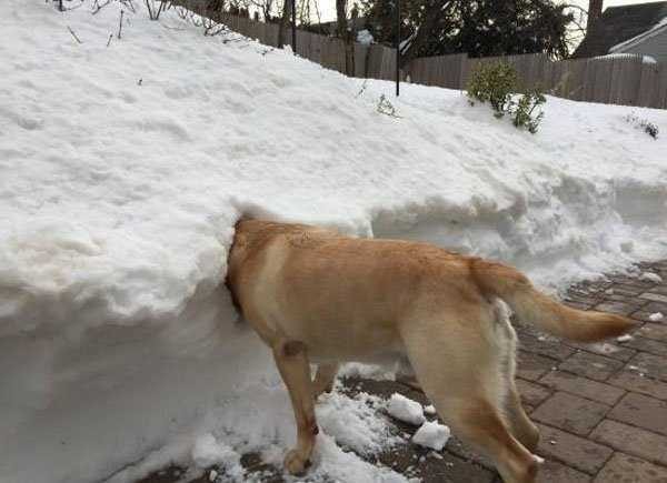 Get Ready For Funny Animals – Part 41 (49 photos)