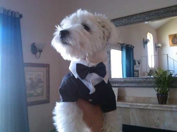 Get Ready For Funny Animals – Part 30 (45 photos)