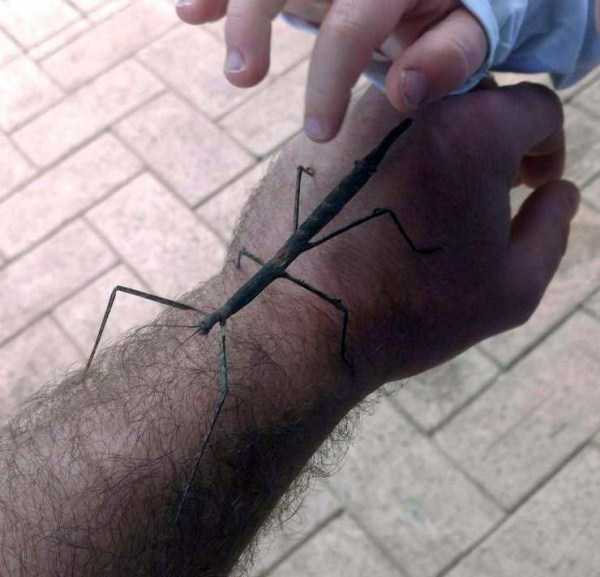 Get Ready For Funny Animals – Part 41 (49 photos)