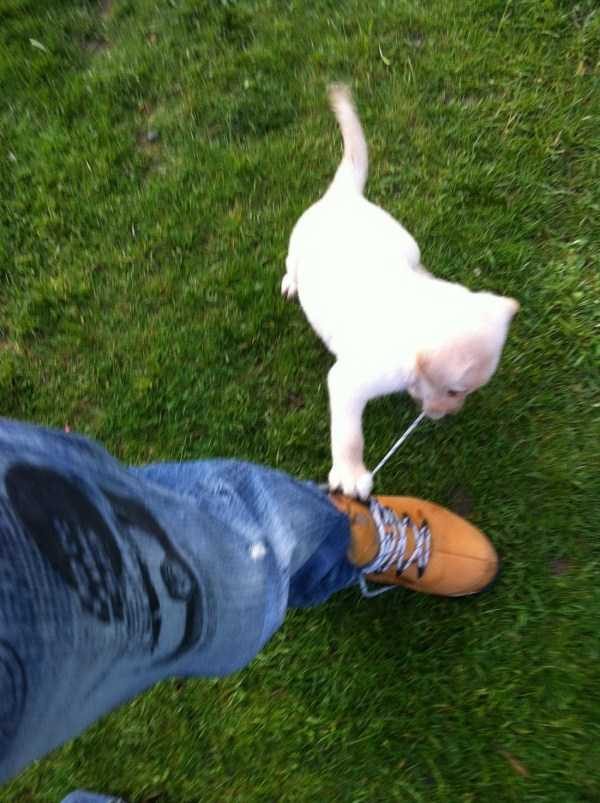 Get Ready For Funny Animals – Part 41 (49 photos)