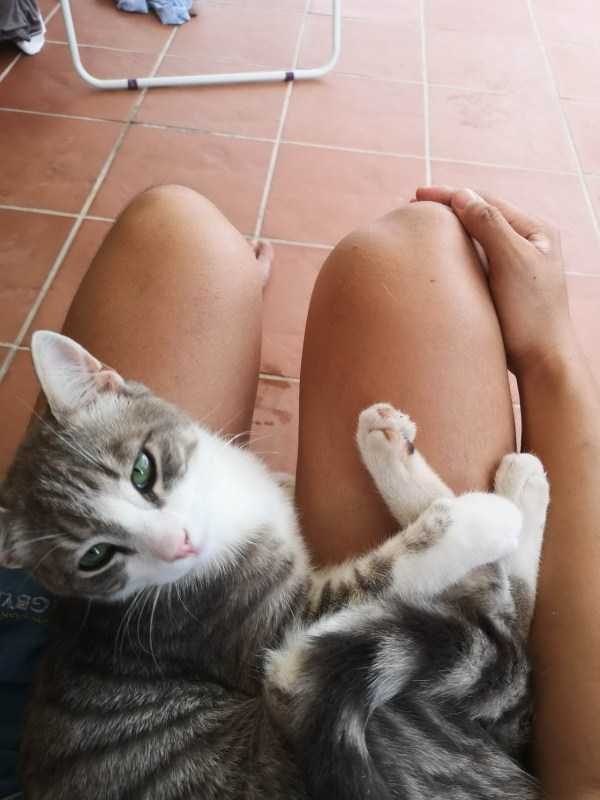 Get Ready For Funny Animals – Part 30 (45 photos)