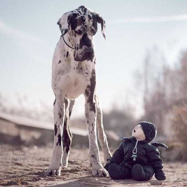 Get Ready For Funny Animals – Part 36 (56 photos)