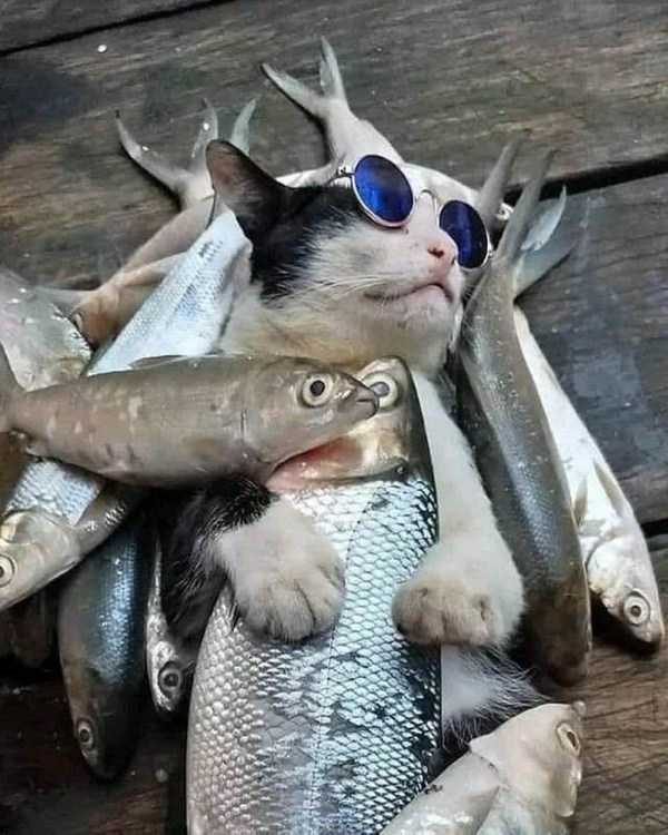 funny animals 27 5 600x750 funny animals 27 5 600x750