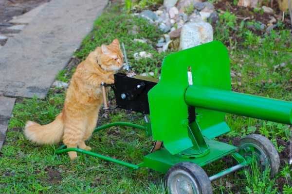 Get Ready For Funny Animals – Part 36 (56 photos)