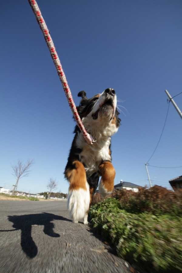 Get Ready For Funny Animals – Part 30 (45 photos)