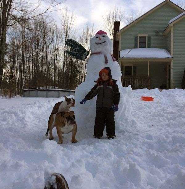 Get Ready For Funny Animals – Part 41 (49 photos)