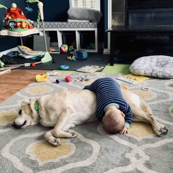 Get Ready For Funny Animals – Part 30 (45 photos)