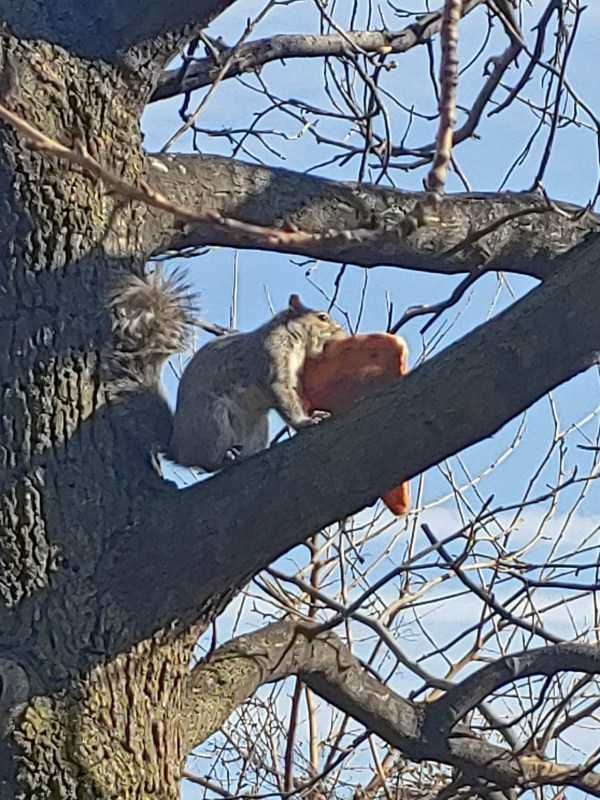 funny animals 31 1 600x800 Get Ready For Funny Animals – Part 29 (52 photos)