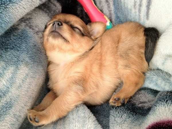 Get Ready For Funny Animals – Part 41 (49 photos)