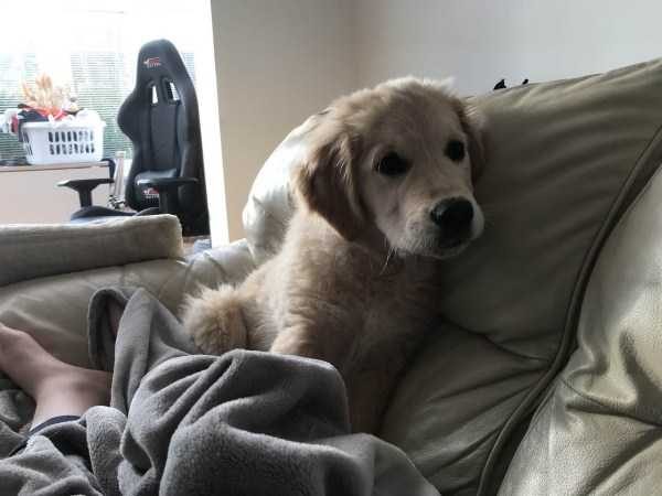 Get Ready For Funny Animals – Part 30 (45 photos)