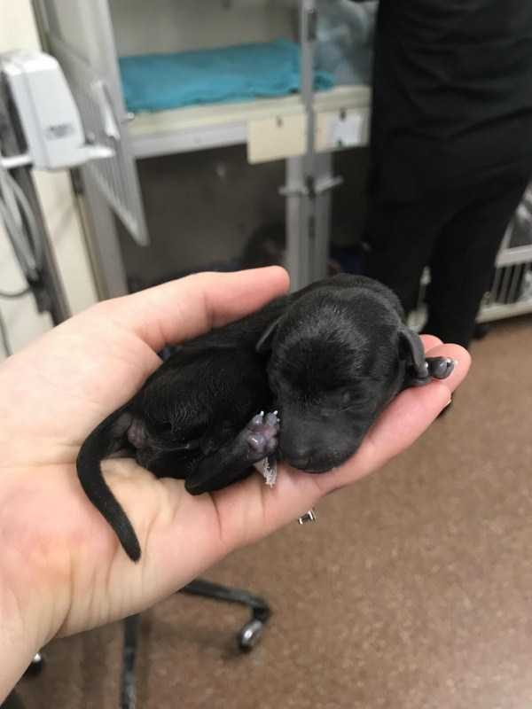 Get Ready For Funny Animals – Part 30 (45 photos)