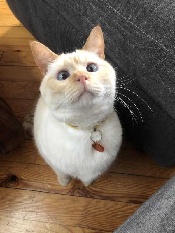 funny animals 40 9 600x800 Get Ready For Funny Animals – Part 37 (45 photos)