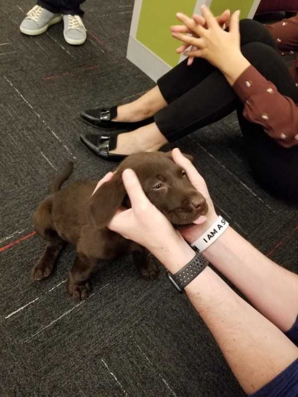 funny animals 41 8 600x801 Get Ready For Funny Animals – Part 37 (45 photos)