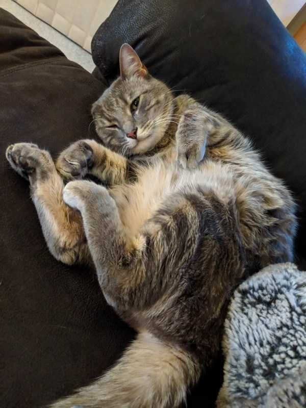 Get Ready For Funny Animals – Part 41 (49 photos)