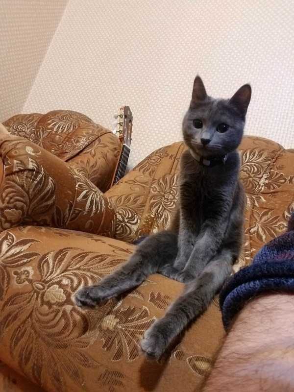 Get Ready For Funny Animals – Part 41 (49 photos)