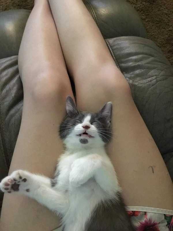 funny animals 48 4 600x800 funny animals 48 4 600x800